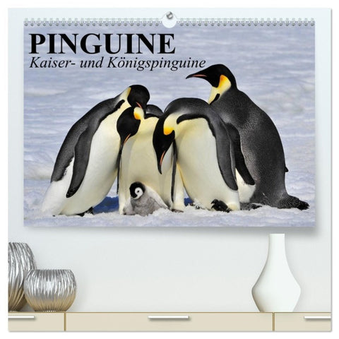 Pinguine - Kaiser- und Königspinguine (hochwertiger Premium Wandkalender 2026 DIN A2 quer), Kunstdruck in Hochglanz