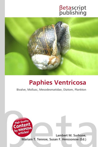 Paphies Ventricosa