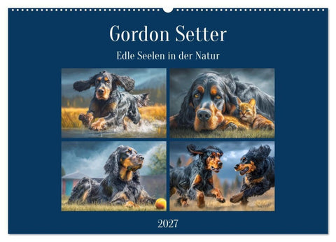 Gordon Setter. Edle Seelen in der Natur (Wandkalender 2027 DIN A2 quer), CALVENDO Monatskalender