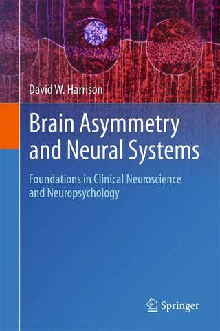 Brain Asymmetry and Neural Systems