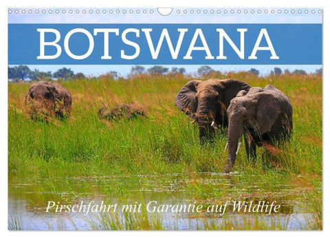 Botswana- Pirschfahrt mit Garantie auf Wildlife (Wandkalender 2027 DIN A3 quer), CALVENDO Monatskalender