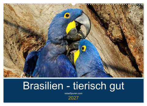 Brasilien tierisch gut 2027 (Wandkalender 2027 DIN A2 quer), CALVENDO Monatskalender