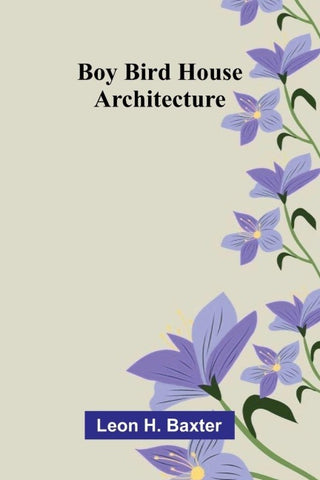 Boy bird house architecture