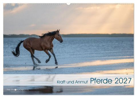 Pferde 2027 Kraft und Anmut (Wandkalender 2027 DIN A2 quer), CALVENDO Monatskalender