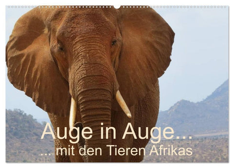 Auge in Auge mit den Tieren Afrikas (Wandkalender 2027 DIN A2 quer), CALVENDO Monatskalender
