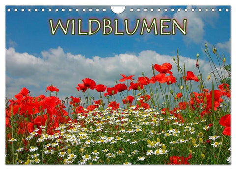 Wildblumen 2026 (Wandkalender 2026 DIN A4 quer), CALVENDO Monatskalender