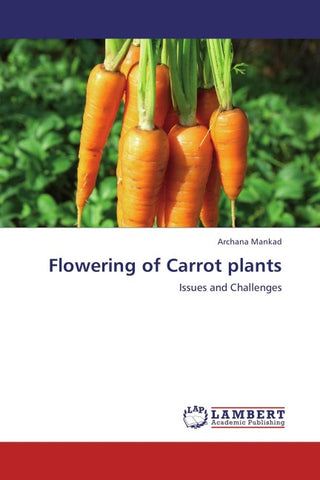 Flowering of Carrot plants