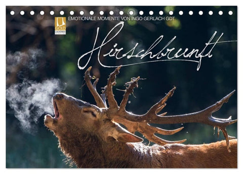Emotionale Momente: Hirschbrunft (Tischkalender 2027 DIN A5 quer), CALVENDO Monatskalender