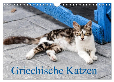Griechische Katzen (Wandkalender 2027 DIN A4 quer), CALVENDO Monatskalender