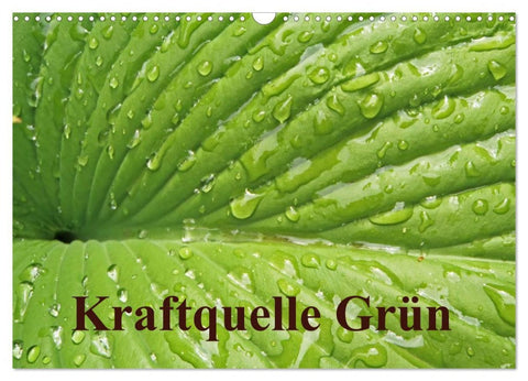 Kraftquelle Grün (Wandkalender 2026 DIN A3 quer), CALVENDO Monatskalender