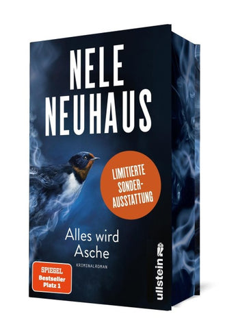 Alles wird Asche (Ein Bodenstein-Kirchhoff-Krimi 12)