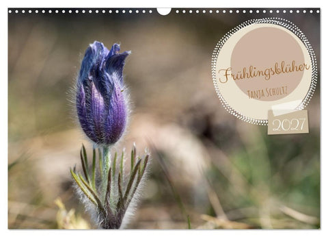 Frühlingsblüher - Farbenpracht nach dem Winter (Wandkalender 2027 DIN A3 quer), CALVENDO Monatskalender