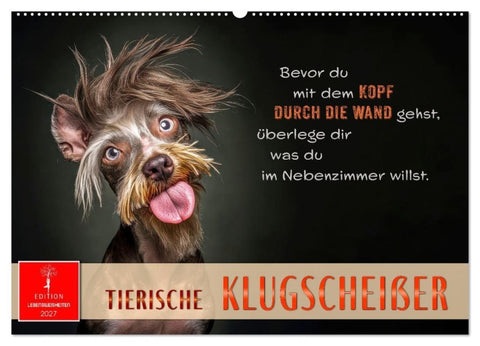 Tierische Klugscheißer (Wandkalender 2027 DIN A2 quer), CALVENDO Monatskalender