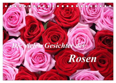 Die vielen Gesichter der Rosen (Tischkalender 2026 DIN A5 quer), CALVENDO Monatskalender