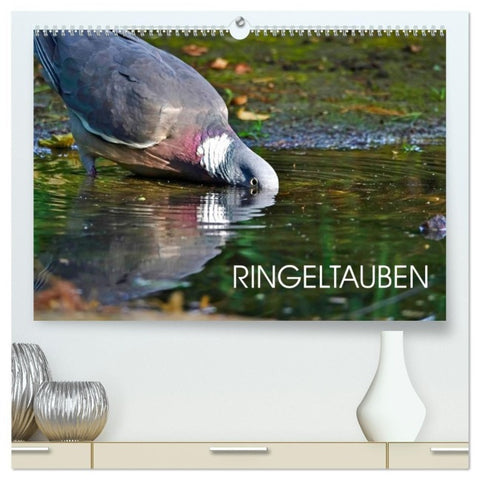 Ringeltauben (hochwertiger Premium Wandkalender 2027 DIN A2 quer), Kunstdruck in Hochglanz