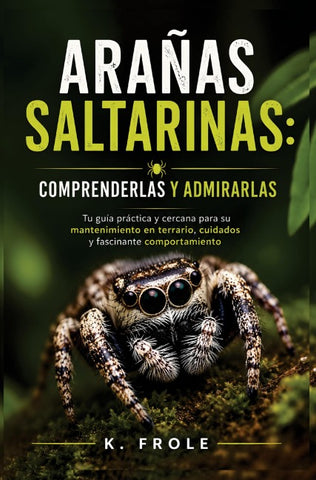 Arañas saltarinas: comprenderlas y admirarlas