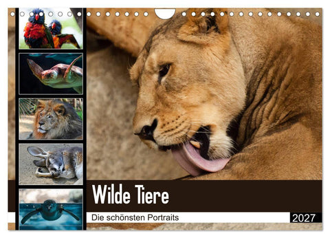 Wilde Tiere - Die schönsten Portraits (Wandkalender 2027 DIN A4 quer), CALVENDO Monatskalender