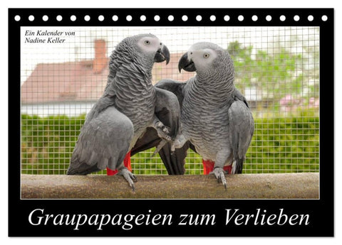 Graupapageien zum Verlieben (Tischkalender 2026 DIN A5 quer), CALVENDO Monatskalender