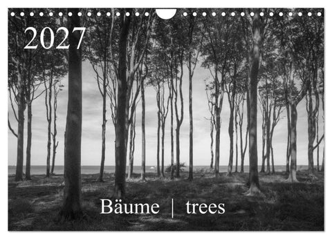 Bäume trees 2027 (Wandkalender 2027 DIN A4 quer), CALVENDO Monatskalender