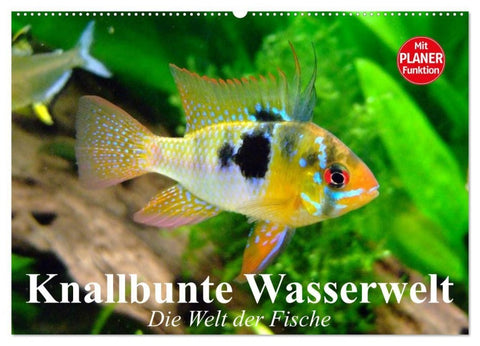 Knallbunte Wasserwelt. Die Welt der Fische (Wandkalender 2027 DIN A2 quer), CALVENDO Monatskalender