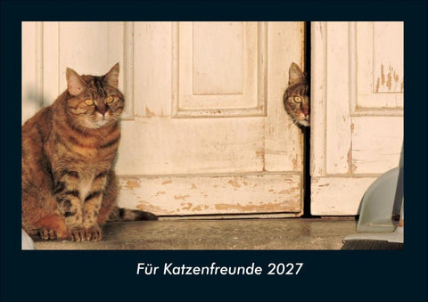 Für Katzenfreunde 2027 Fotokalender DIN A4