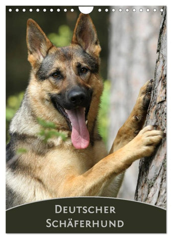 Deutscher Schäferhund (Wandkalender 2026 DIN A4 hoch), CALVENDO Monatskalender