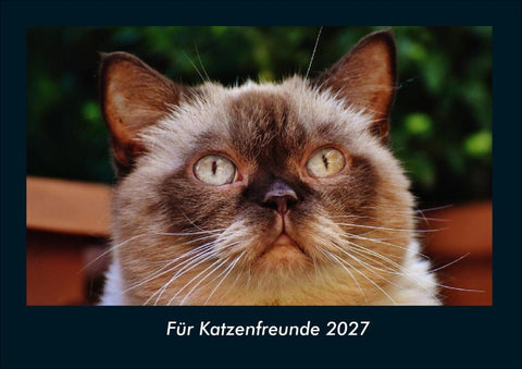 Für Katzenfreunde 2027 Fotokalender DIN A4
