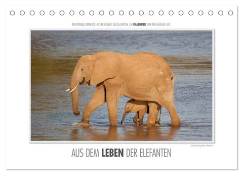 Emotionale Momente: Aus dem Leben der Elefanten. / CH-Version (Tischkalender 2027 DIN A5 quer), CALVENDO Monatskalender