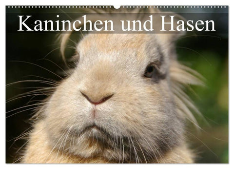 Kaninchen und Hasen (Wandkalender 2027 DIN A2 quer), CALVENDO Monatskalender