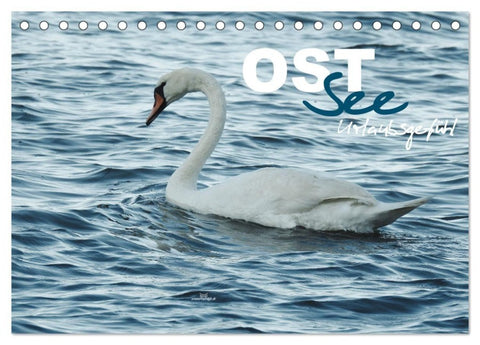 Ostsee - Urlaubsgefühl (Tischkalender 2027 DIN A5 quer), CALVENDO Monatskalender