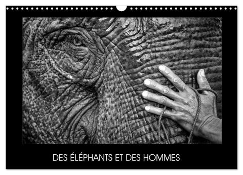 DES ÉLÉPHANTS ET DES HOMMES (Calendrier mural 2026 DIN A3 vertical), CALVENDO calendrier mensuel