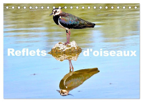 Reflets d'oiseaux (Calendrier de bureau 2027 DIN A5 vertical), CALVENDO calendrier mensuel