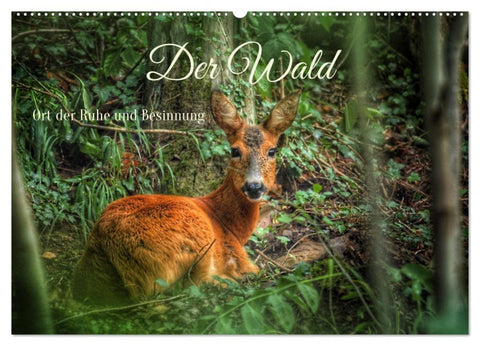 Der Wald - Ort der Ruhe und Besinnung (Wandkalender 2026 DIN A2 quer), CALVENDO Monatskalender