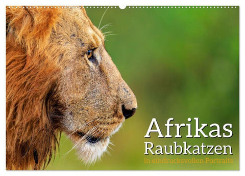Afrikas Raubkatzen in eindrucksvollen Portraits (Wandkalender 2027 DIN A2 quer), CALVENDO Monatskalender