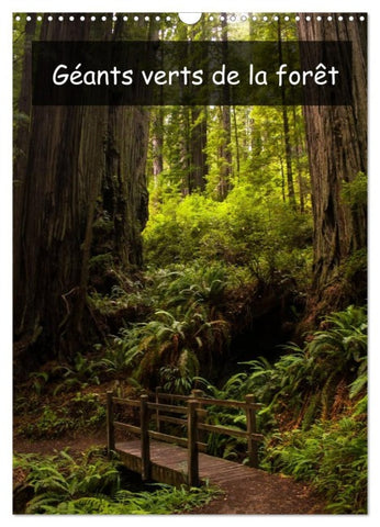 Géants verts de la forêt (Calendrier mural 2026 DIN A3 horizontal), CALVENDO calendrier mensuel