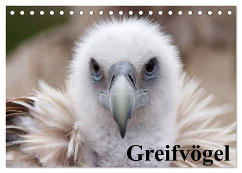 Greifvögel (Tischkalender 2026 DIN A5 quer), CALVENDO Monatskalender
