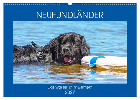 Neufundländer - Das Wasser ist ihr Element (Wandkalender 2027 DIN A2 quer), CALVENDO Monatskalender