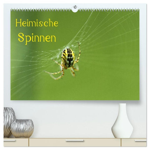 Heimische Spinnen (hochwertiger Premium Wandkalender 2027 DIN A2 quer), Kunstdruck in Hochglanz