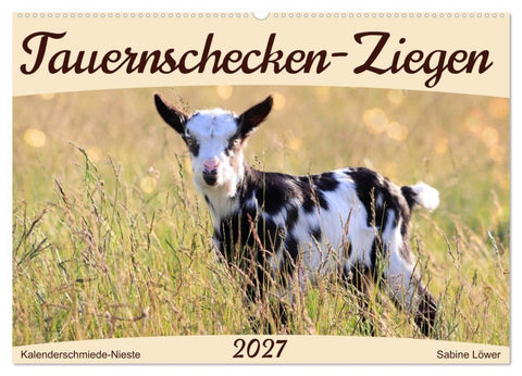 Tauernschecken-Ziegen (Wandkalender 2027 DIN A2 quer), CALVENDO Monatskalender