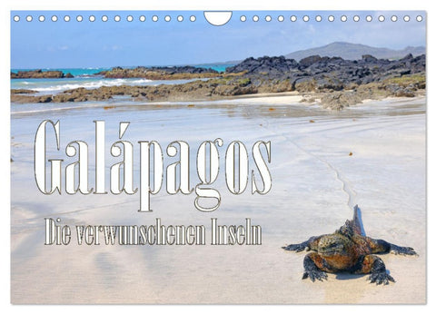 Galápagos - Die verwunschenen Inseln (Wandkalender 2026 DIN A4 quer), CALVENDO Monatskalender