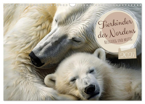 Tierkinder des Nordens (Wandkalender 2027 DIN A3 quer), CALVENDO Monatskalender