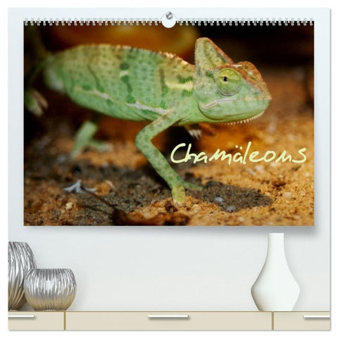 Chamäleons (hochwertiger Premium Wandkalender 2027 DIN A2 quer), Kunstdruck in Hochglanz