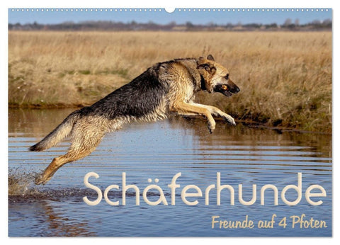 Schäferhunde - Freunde auf 4 Pfoten (Wandkalender 2027 DIN A2 quer), CALVENDO Monatskalender