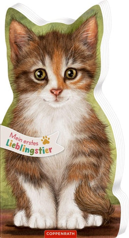 Mein erstes Lieblingstier: Hallo, kleine Katze!