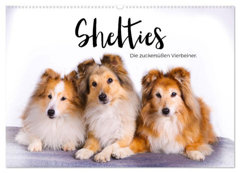 Shelties - Die zuckersüßen Vierbeiner. (Wandkalender 2027 DIN A2 quer), CALVENDO Monatskalender