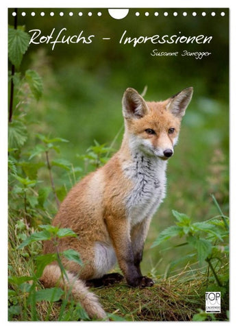 Rotfuchs - Impressionen (Wandkalender 2026 DIN A4 hoch), CALVENDO Monatskalender