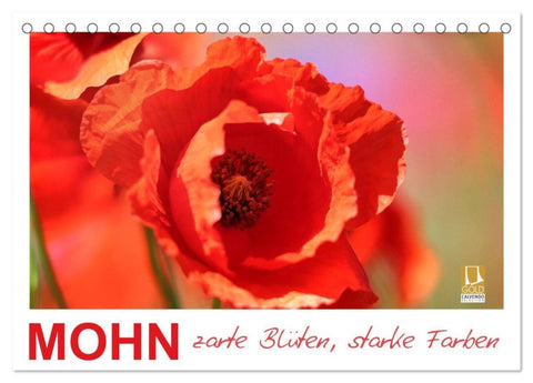 Mohn, zarte Blüten, starke Farben (Tischkalender 2027 DIN A5 quer), CALVENDO Monatskalender