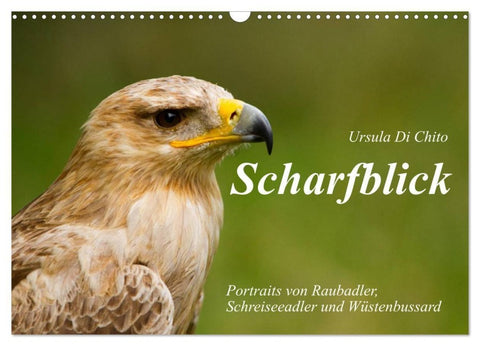Scharfblick (Wandkalender 2027 DIN A3 quer), CALVENDO Monatskalender