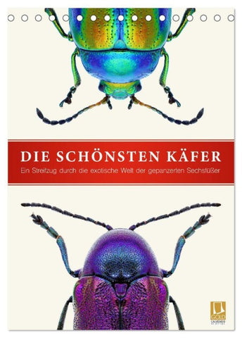 Die schönsten Käfer (Tischkalender 2027 DIN A5 hoch), CALVENDO Monatskalender