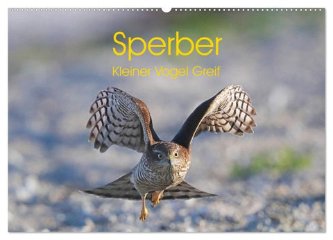 Sperber - Kleiner Vogel Greif (Wandkalender 2027 DIN A2 quer), CALVENDO Monatskalender